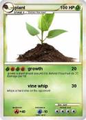 plant