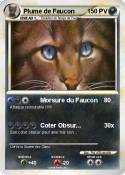 Plume de Faucon