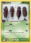 THE beetles