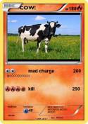 COW!
