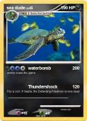 sea dude