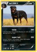 turi 2000 X