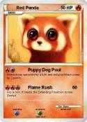 Red Panda