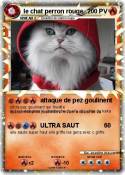 le chat perron