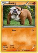 Bulldog