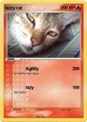 lazzy cat