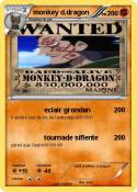 monkey d.dragon