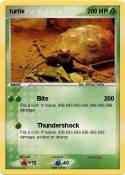 turtle
