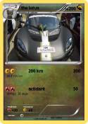 the lotus