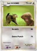 Cat VS DOMO