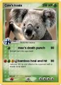 Cole's koala