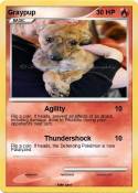 Graypup