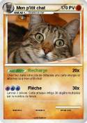 Mon p'itit chat