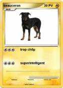 beauceron