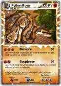 Python Royal