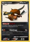 Rat de marais 2