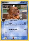 bavausor