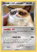 GRUMPY CAT