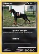 doberman