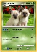 chat mignon