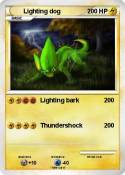 Lighting dog