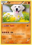 ruff