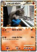 chat