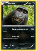 Monkey