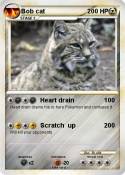 Bob cat