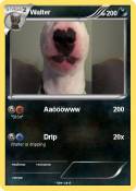 Walter