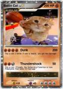 Ballin Cat