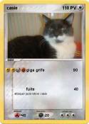 casie