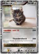 jeff the cat