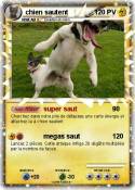chien sautent