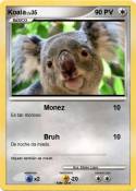 Koala