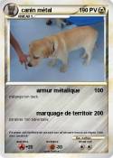 canin métal