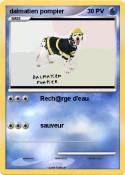 dalmatien pompi