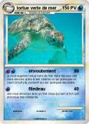 tortue verte