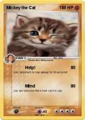 Mickey the Cat