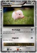 bebe pig