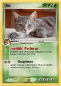 chat