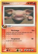 cochon