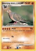 mourning dove