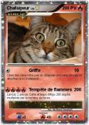 Chafaipeur