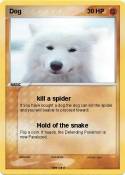 Dog