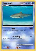Tiger Shark