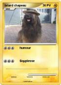 briard chapeau