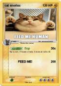 cat snorlax