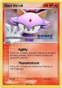 blaze the cat