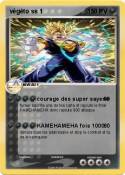 végéto ss 1